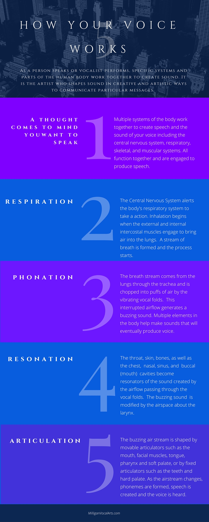how your voice works how your voice works